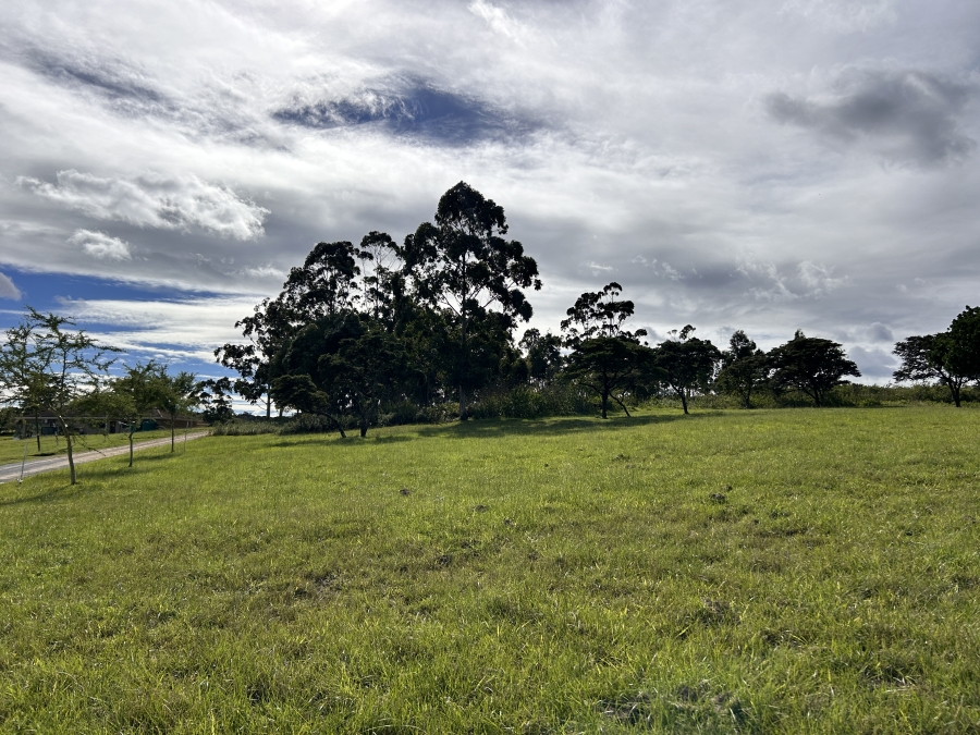 0 Bedroom Property for Sale in Gonubie North Eastern Cape